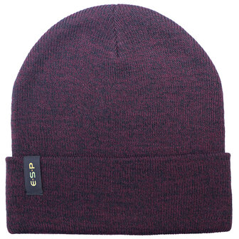 ESP Beanie Hat